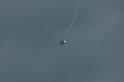 IMGP2824