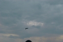 DSCF2189