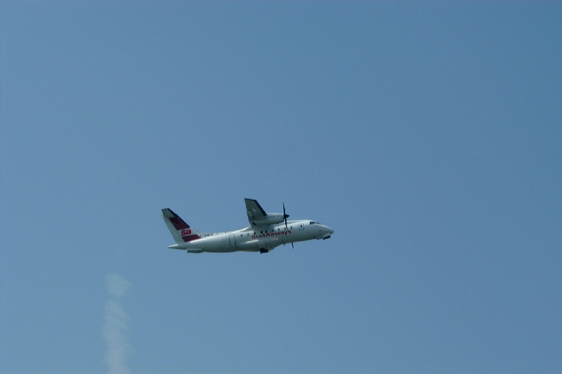 DSCF1603.JPG
