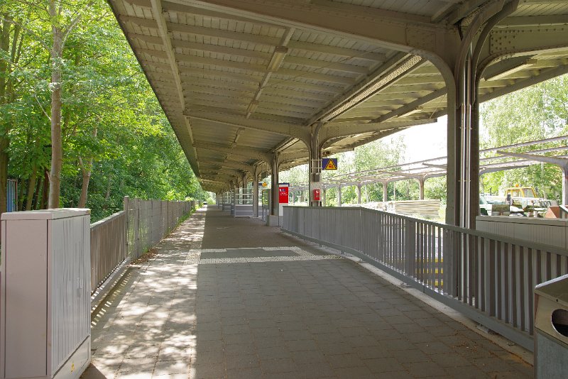 MJV_6098.JPG