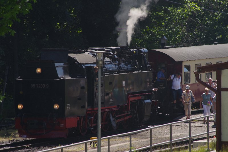 MJV_6496.JPG