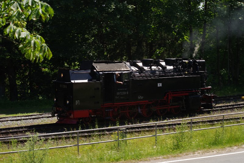 MJV_6498.JPG